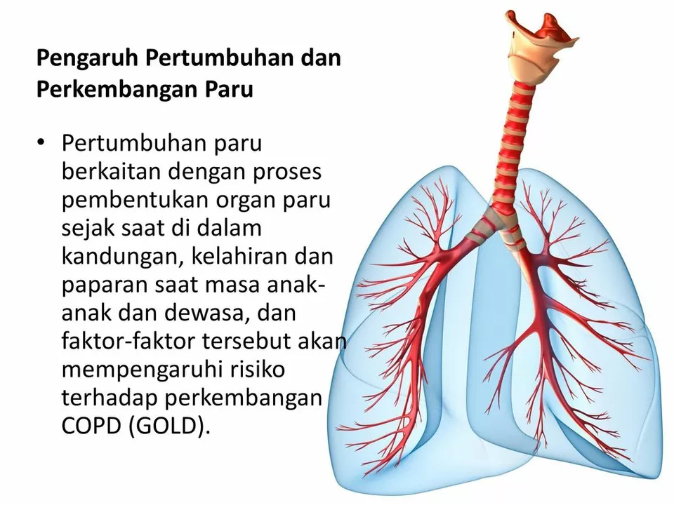 The Connection Between Chronic Obstructive Pulmonary Disease and Gastroesophageal Reflux Disease (GERD)