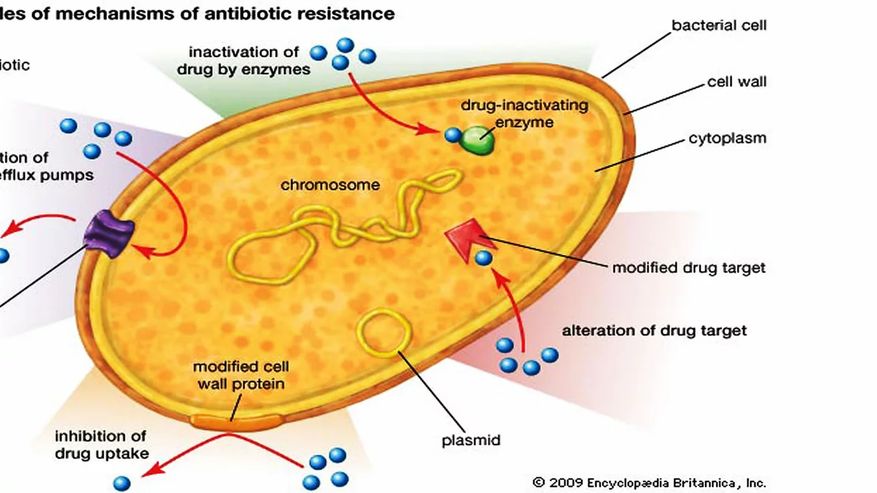 How cefpodoxime is helping to combat antibiotic overuse and resistance