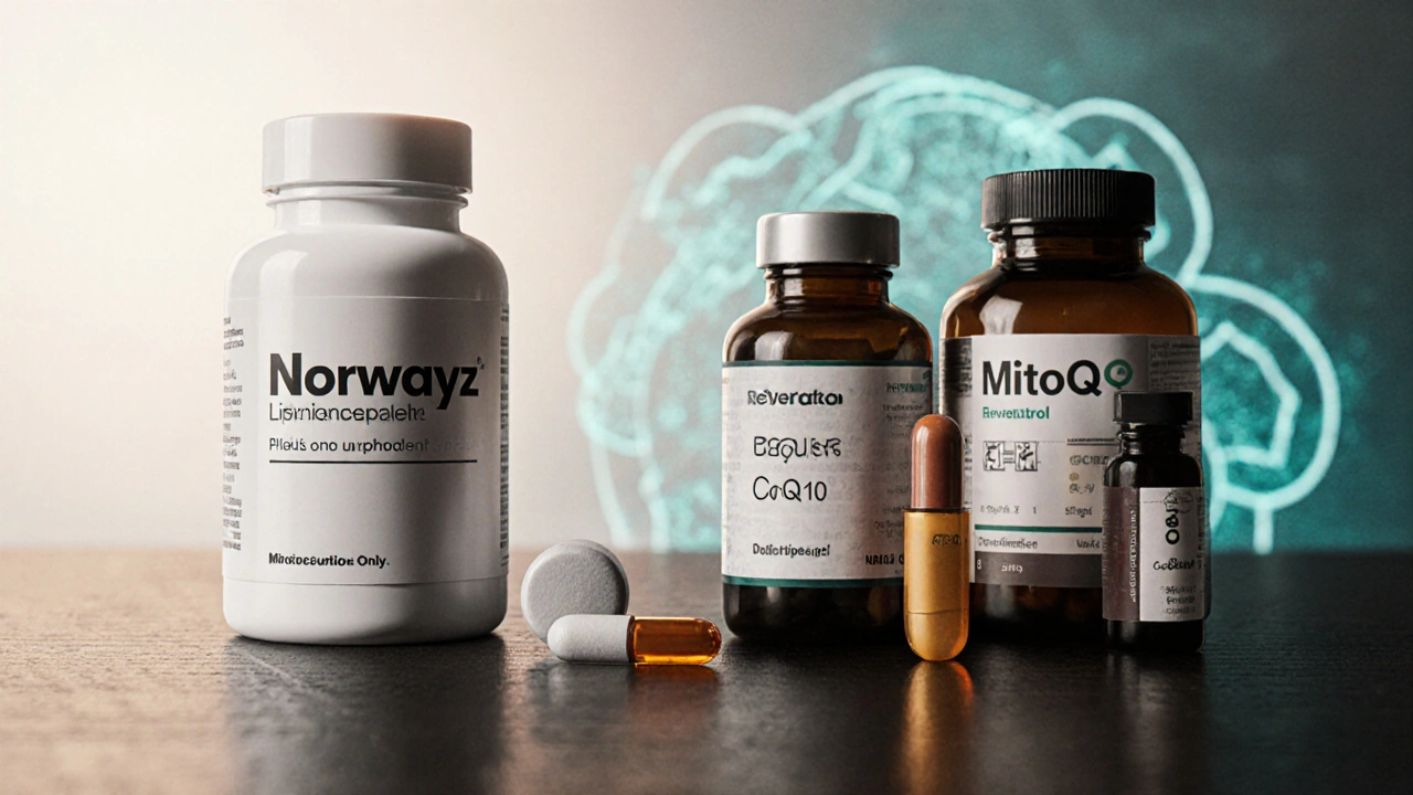 Norwayz (Idebenone) vs. Top Alternatives: Detailed Comparison Guide